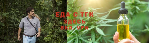 хмурый Алзамай
