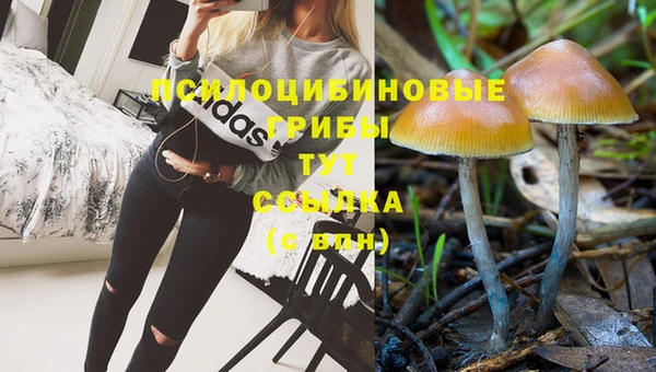 трава Алексеевка