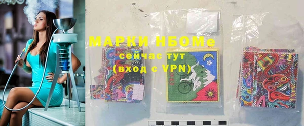 хмурый Алзамай