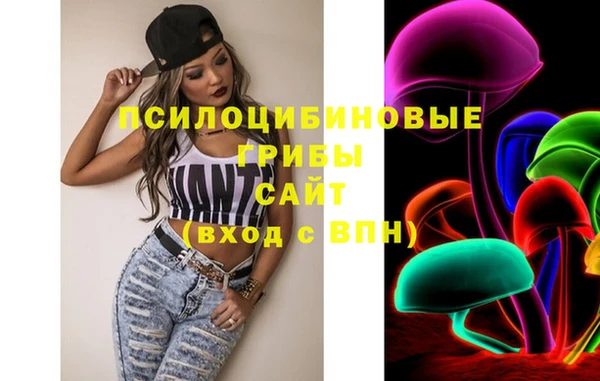 хмурый Алзамай